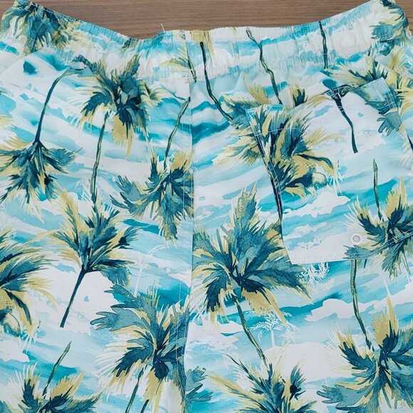 Mens Swim Trunks - Picture 1 of 15
